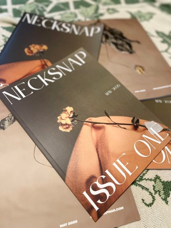Issue One (SPECIAL EDITION) - Image 6