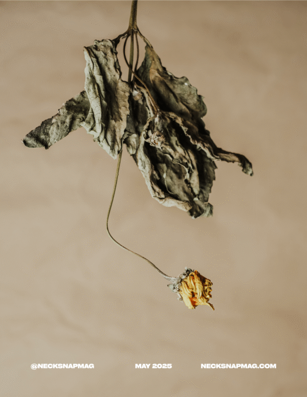 Issue One (SPECIAL EDITION) - Image 5